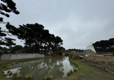 Lote Pioneros III Lote 21